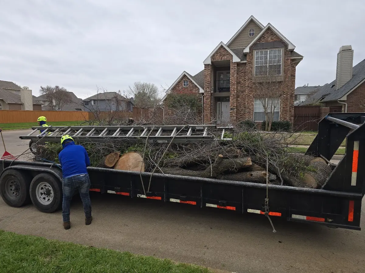 Expert Tree Fertilization with proper safety equipment in Skyforest
